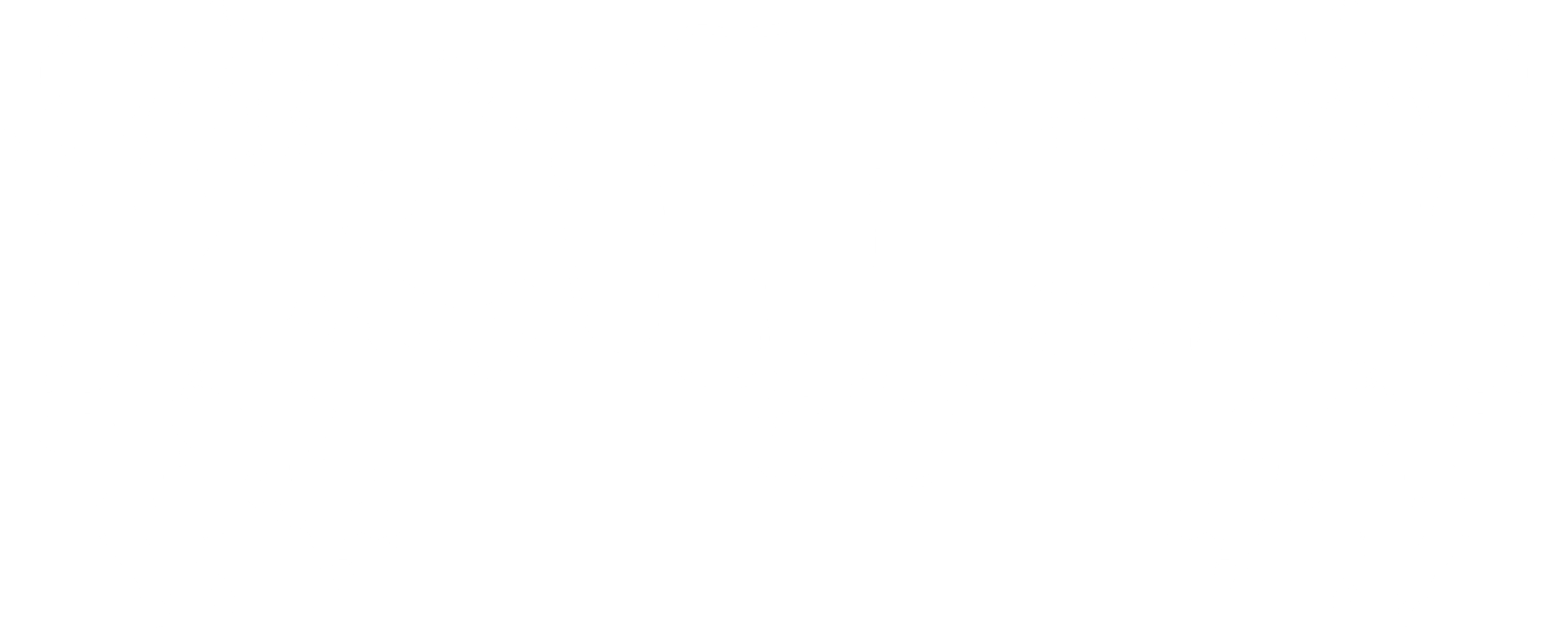 Logo Freefight Stolberg